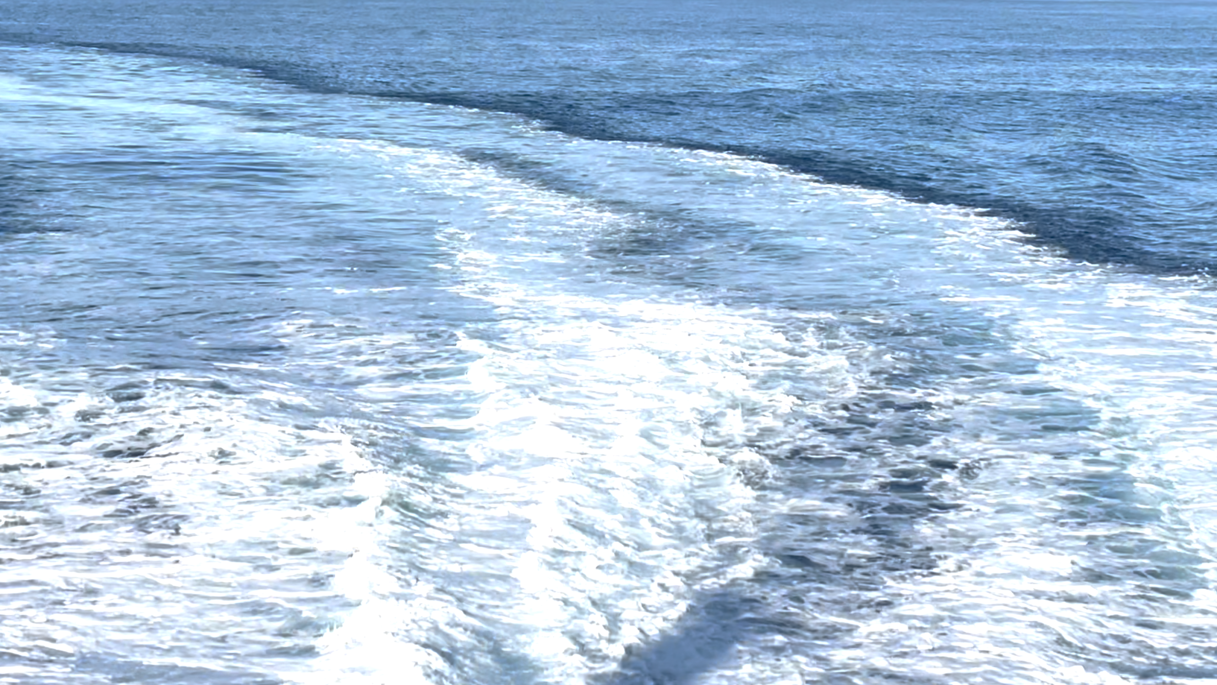 Harry on the sea 